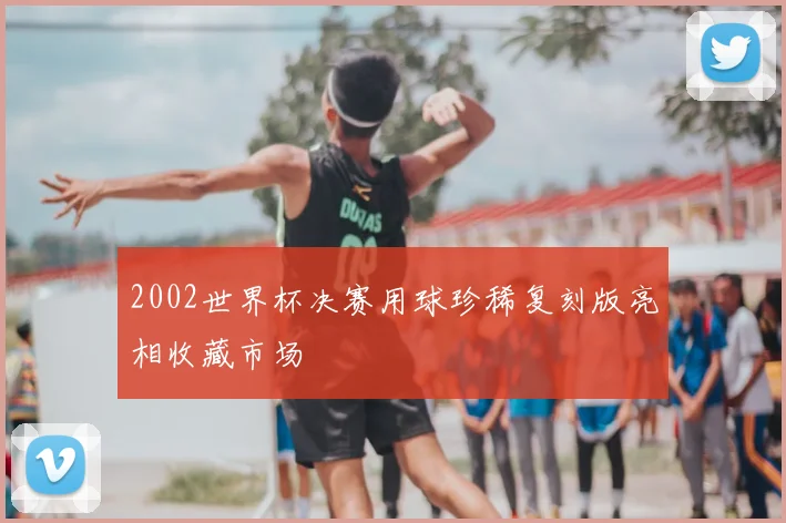2002世界杯决赛用球珍稀复刻版亮相收藏市场