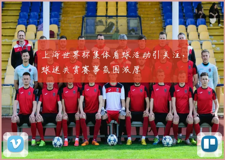 上海世界杯集体看球活动引关注，球迷共赏赛事氛围浓厚
