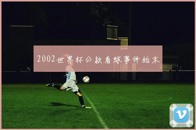 2002世界杯公款看球事件始末