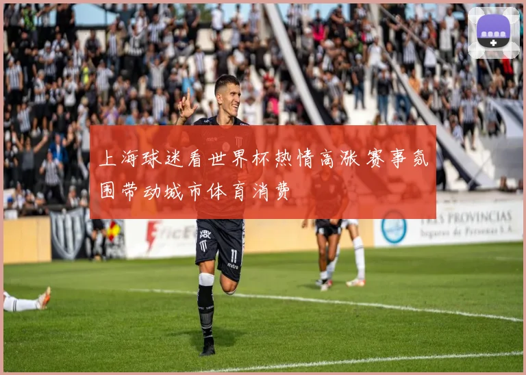 上海球迷看世界杯热情高涨 赛事氛围带动城市体育消费