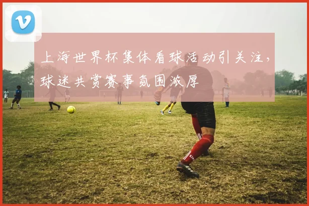上海世界杯集体看球活动引关注，球迷共赏赛事氛围浓厚