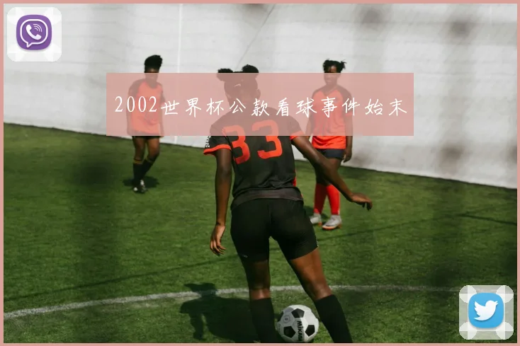 2002世界杯公款看球事件始末